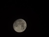 20231126_004257