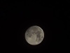 20231126_004303