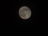 20231129_004537