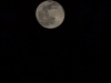 20240126_223607