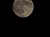 20240423_010844