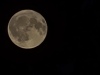 20240524_021446