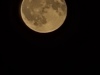 20240623_004444