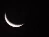 20240801_053112