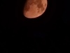 20240815_003006