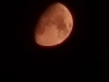 20240815_003045