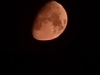20240815_003050