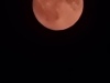 20240818_220458
