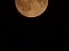 20240818_234137