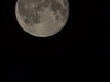 20240919_011734