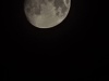 20241014_230816