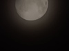 20241016_001638