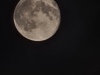 20241019_020850
