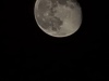 20241020_004544