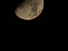 20241110_232826