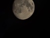 20241113_215634
