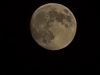 20241114_180015