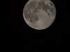 20241117_005710