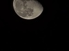 20241220_011827