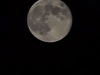 20250115_013844