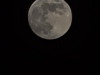 20250211_231836