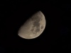 20250308_001329