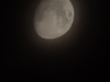 20250310_002201