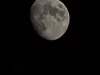20250310_224451