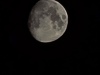 20250311_003923