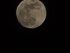 20250313_210103