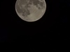 20250314_011803