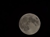 20250314_011810