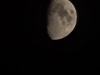 20250406_231206