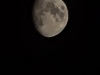 20250409_003721