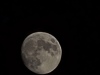 20250411_004314