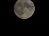 20250412_020948