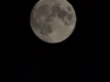 20250412_021012