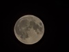 20250413_031307