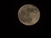 20250414_000533