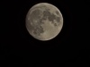 20250511_010734