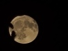 20250514_015404