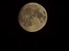 20250709_000428