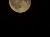 20250712_003335