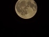 20250712_003426