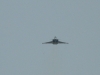 P1110855